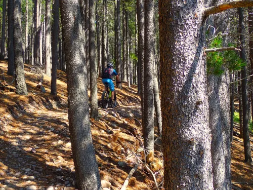 Cypress Hills Biking