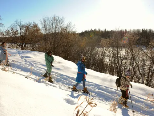 Metis Crossing