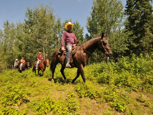 Horse ride with Leaning Tree Trail Rides, Athabasca County