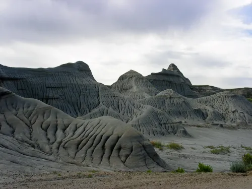 Dinosaur Provincial Park