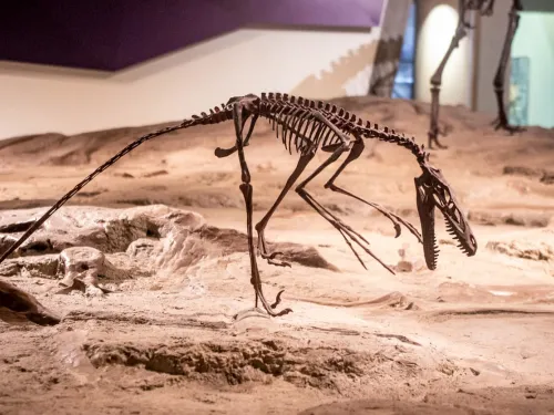 Dinosaur Provincial Park