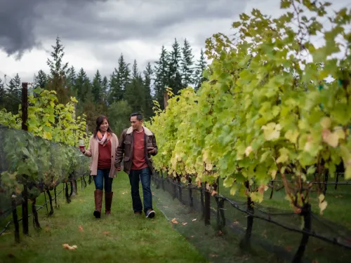 Wine touring at Valley of the Springs, Nakusp, BC.