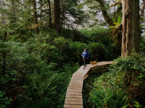 Tofino BC Wickaninnish Board Walk 2 Jaiden George ZenSeekers