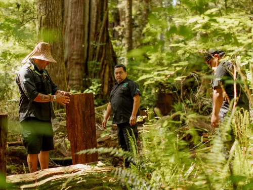 Tofino TribalParks British Columbia Meares Island Trail KylerVos ZenSeekers