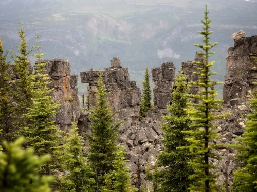 Tumbler Ridge BC Dino Trail