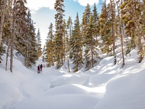 Wells BC Snowshoe6 Snowseekers