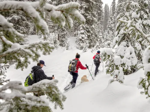 Wells BC snowshoeing Bonnie Grenon SnowSeekers