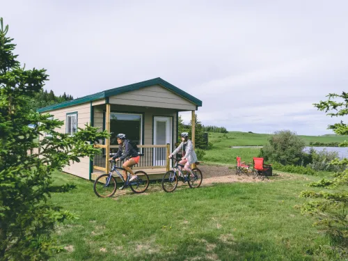 Cypress Hills Biking