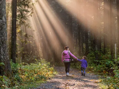 Mother's Day forest walk 