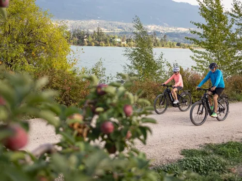 Vernon Rail Trail Shannon Martin