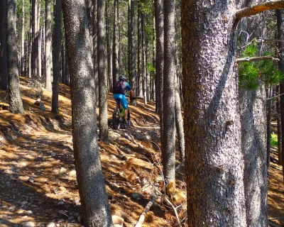 Cypress Hills Biking