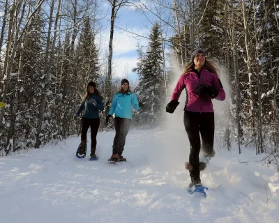 Wapiti snowshoeing Alberta