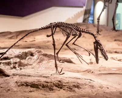 Dinosaur Provincial Park