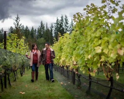 Wine touring at Valley of the Springs, Nakusp, BC.