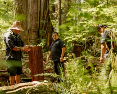 Tofino TribalParks British Columbia Meares Island Trail KylerVos ZenSeekers