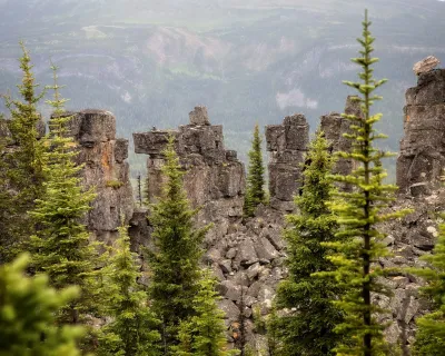 Tumbler Ridge BC Dino Trail