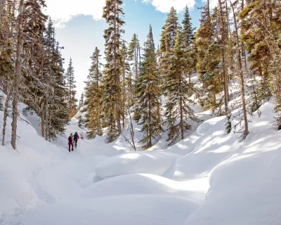 Wells BC Snowshoe6 Snowseekers