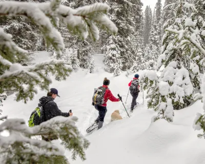 Wells BC snowshoeing Bonnie Grenon SnowSeekers