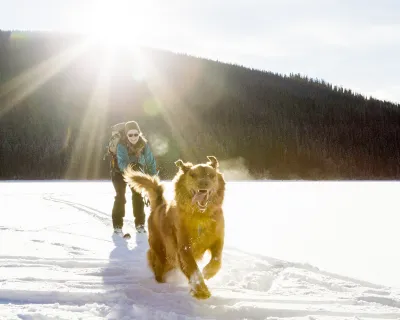 Winter 2024 weather forecast skier and dog