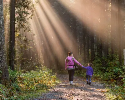 Mother's Day forest walk 