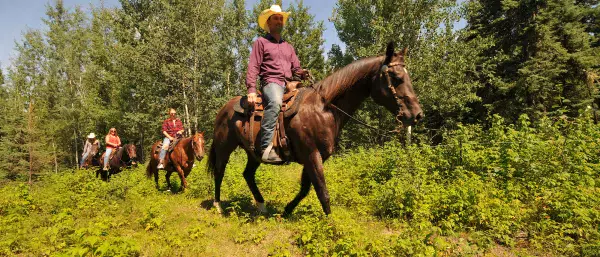 Horse ride with Leaning Tree Trail Rides, Athabasca County