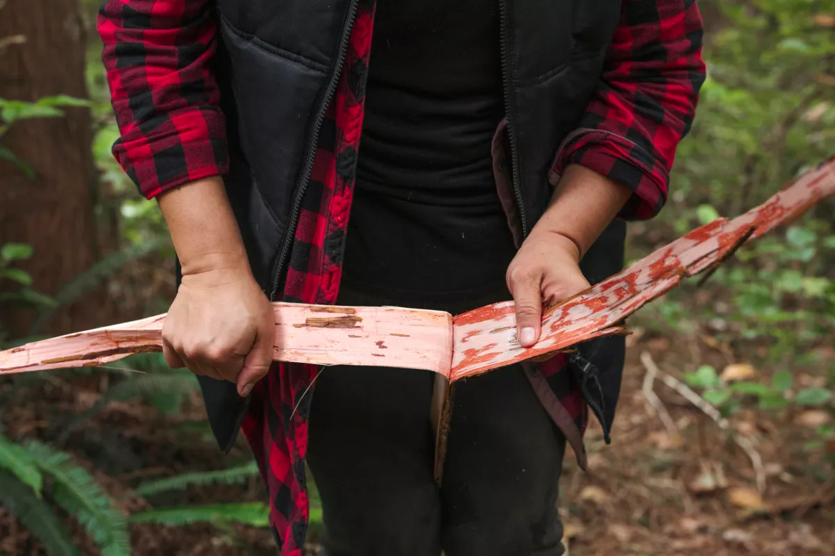 Tin Wis Resort Tofino BC cedar harvest