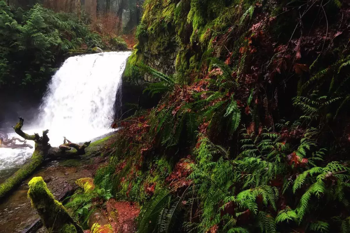 Waterfall on Vancouver Island