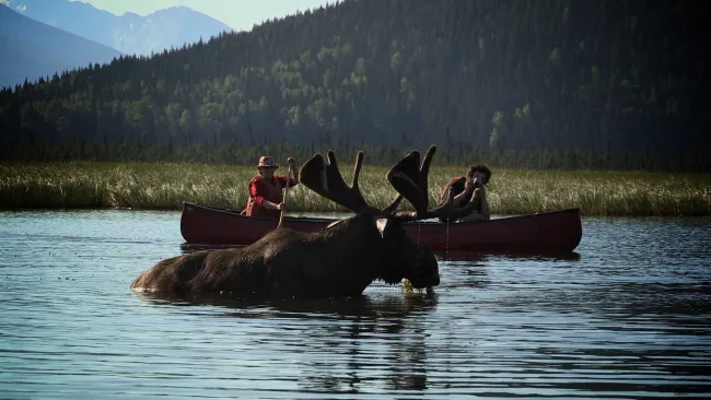 Moose Chris Wheeler