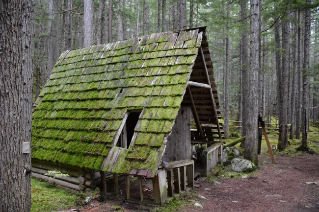 Nakusp