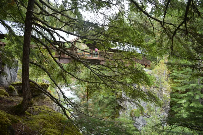 Nakusp