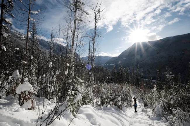 Snowshoeing near Nakusp, BC, Kyle Hamilton