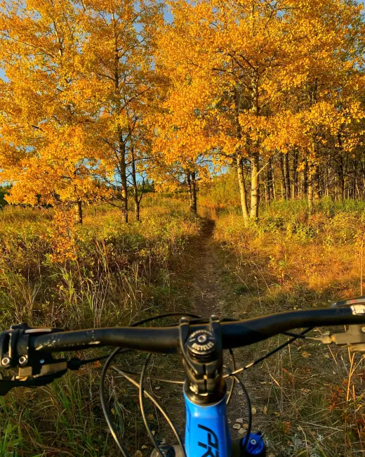 mountain biking Fish Creek Provincial Park Calgary
