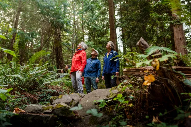 Members of Gabriola Lands and Trails Trust hike through forest on Gabriola Island