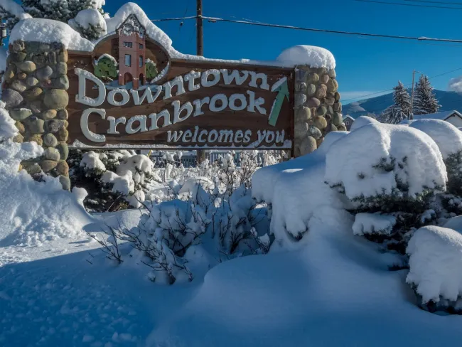 Cranbrook