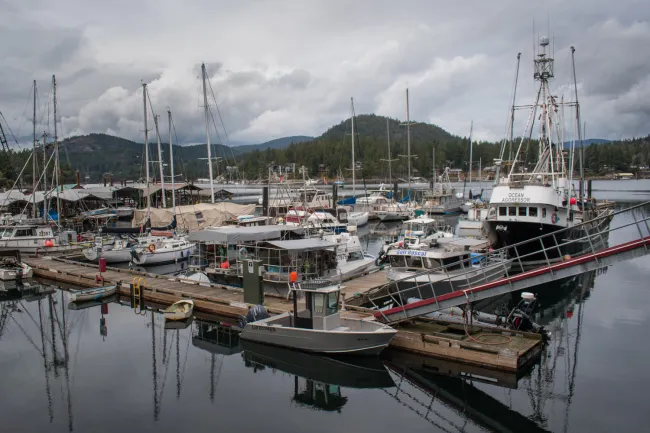 Sunshine Coast