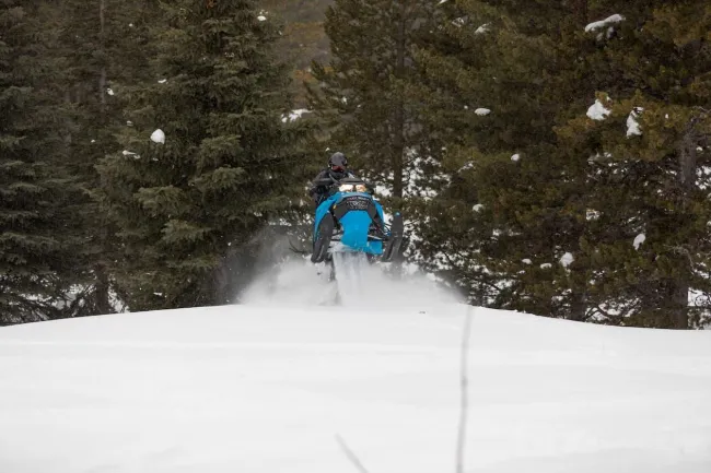 Crowsnest