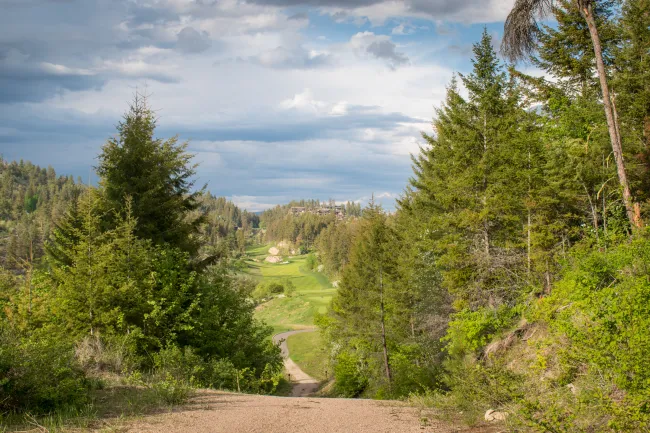 Predator Ridge