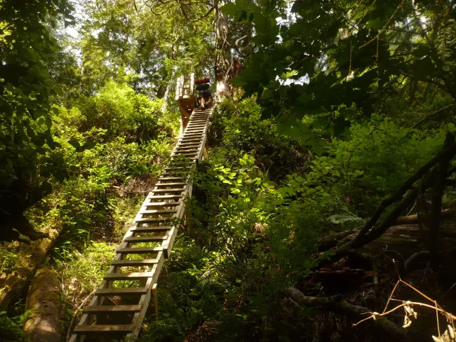 Hiking