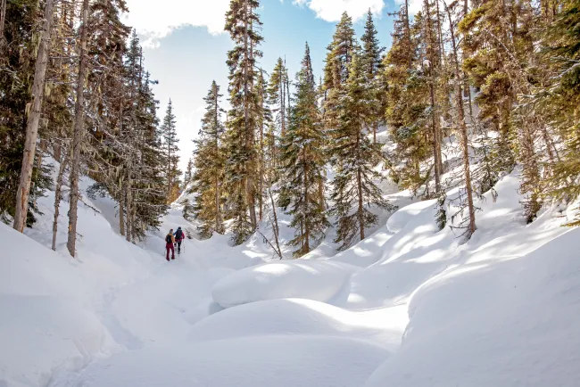 Wells BC Snowshoe6 Snowseekers
