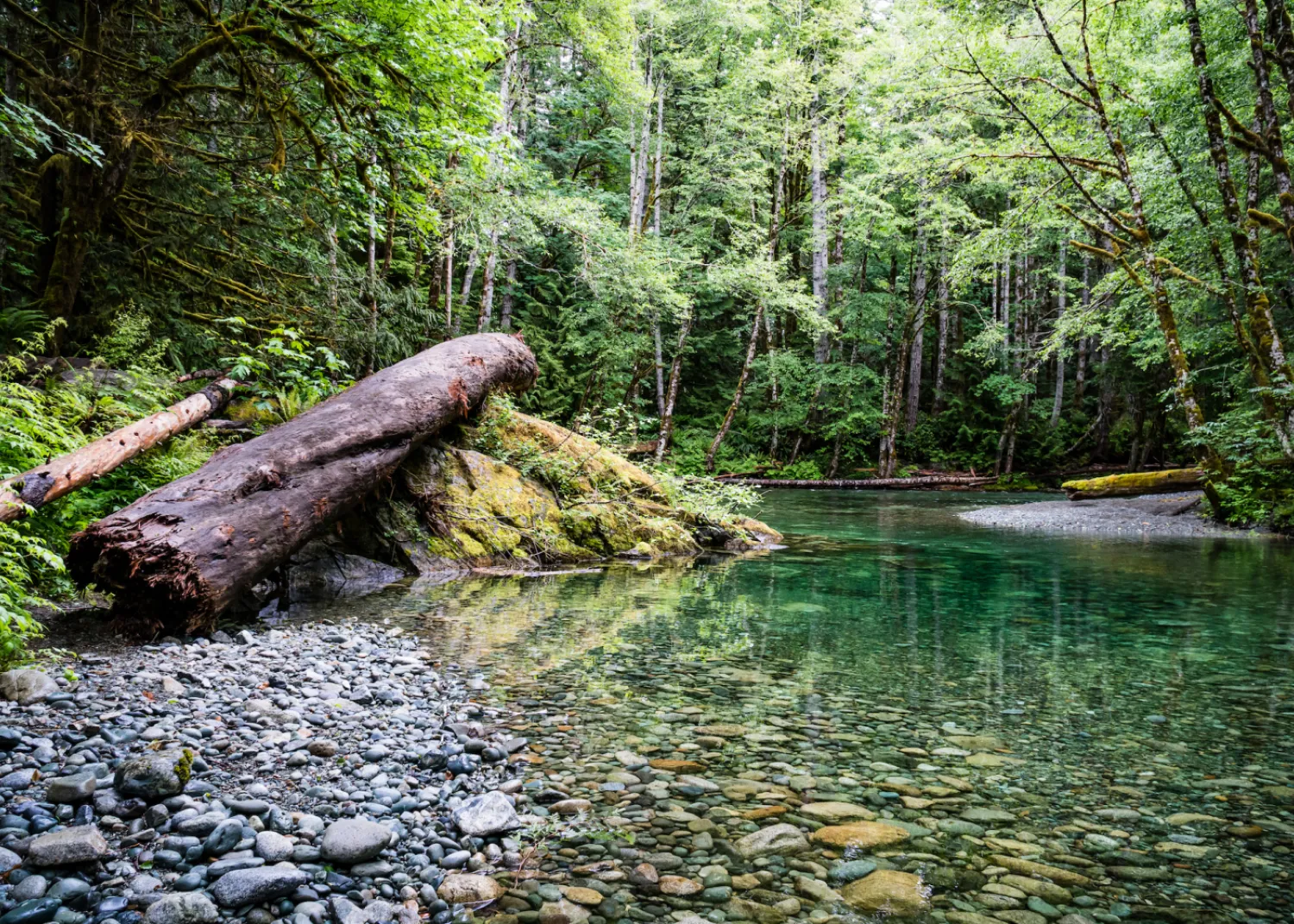 Weiner Falls