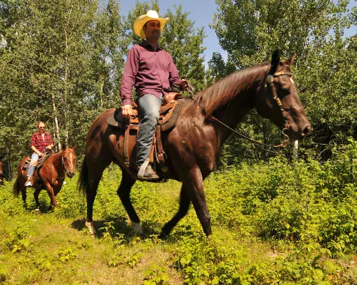 Horse ride with Leaning Tree Trail Rides, Athabasca County